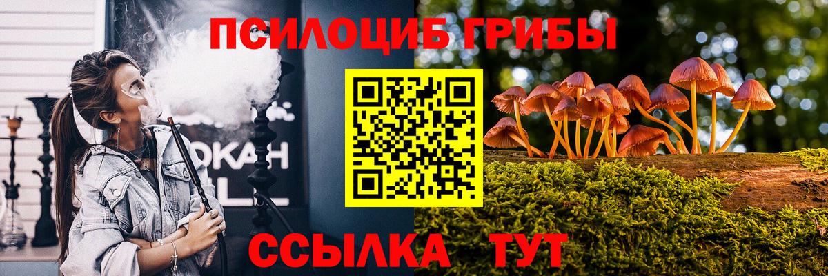 Псилоцибиновые грибы Cubensis Мирный